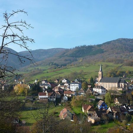 Gite Schlitteur Et Sapiniere Breitenbach Екстер'єр фото