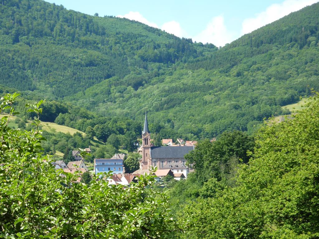 Gite Schlitteur Et Sapiniere Breitenbach Екстер'єр фото