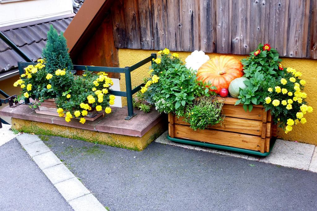 Gite Schlitteur Et Sapiniere Breitenbach Екстер'єр фото