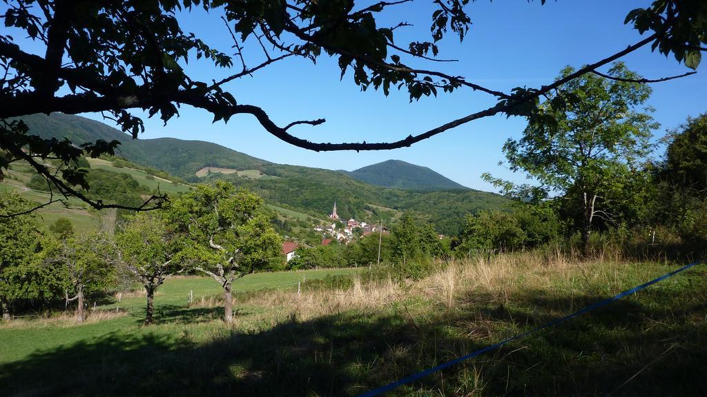 Gite Schlitteur Et Sapiniere Breitenbach Екстер'єр фото