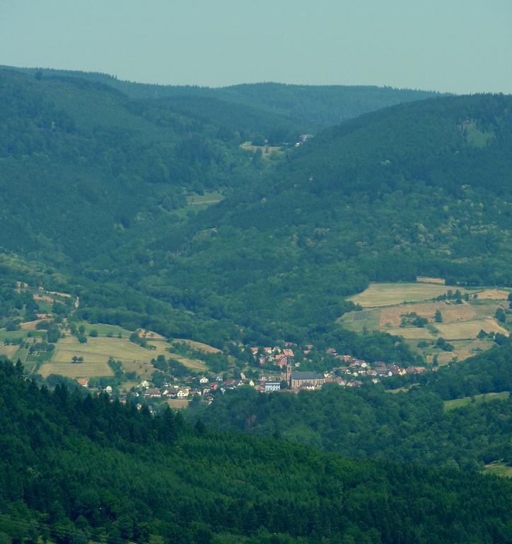 Gite Schlitteur Et Sapiniere Breitenbach Екстер'єр фото