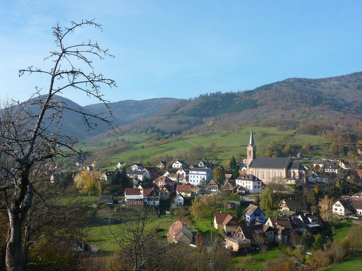 Gite Schlitteur Et Sapiniere Breitenbach Екстер'єр фото